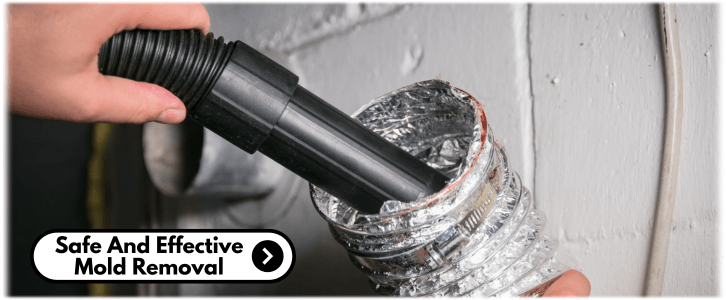 Air Duct Mold Removal in Scottsdale