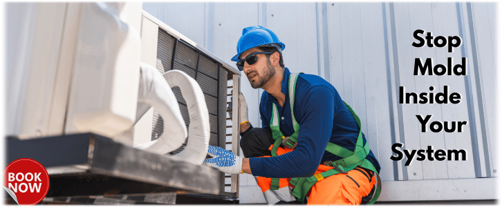 HVAC Mold Removal Scottsdale